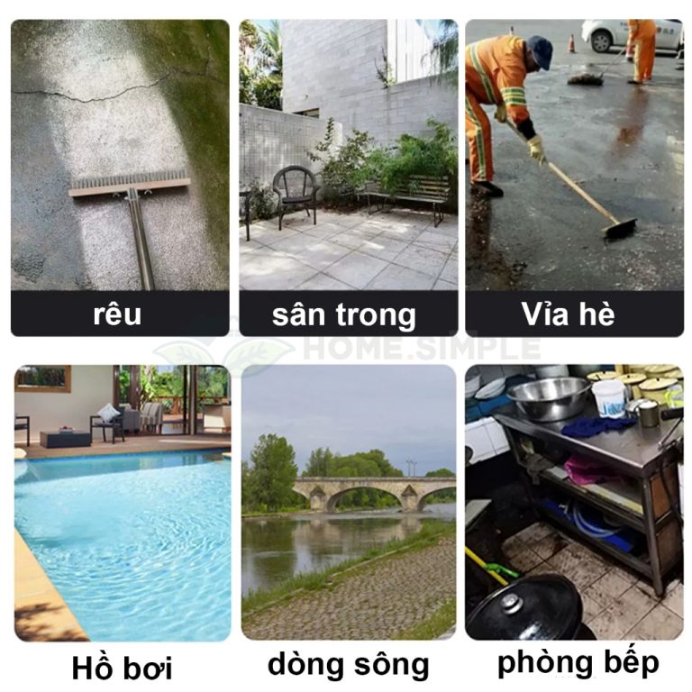 Chổi sắt cầm tay không rỉ chà rửa vệ sinh rong rêu ố vàng nền sân vườn ...